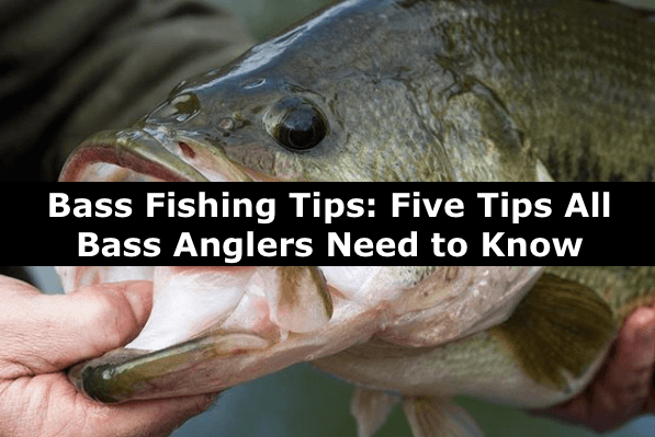 Bass Fishing Tips: Five Tips All Bass Anglers Need to Know