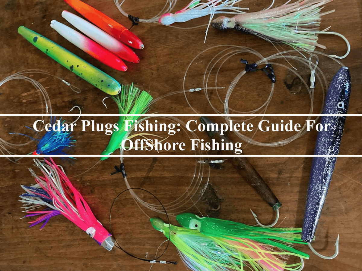 Cedar Plugs Fishing: Complete Guide For OffShore Fishing– Hunting
