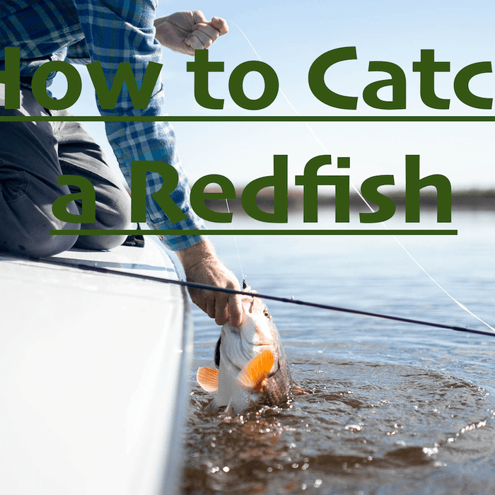 How to Catch a Redfish