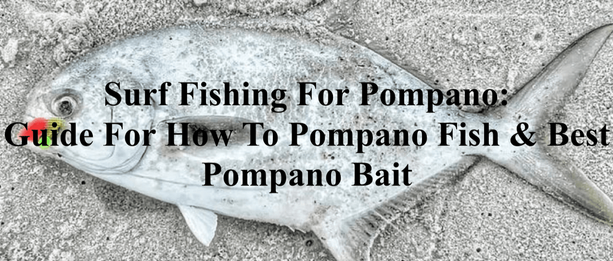 Surf Fishing For Pompano: How To Pompano Fish & Best Pompano Bait