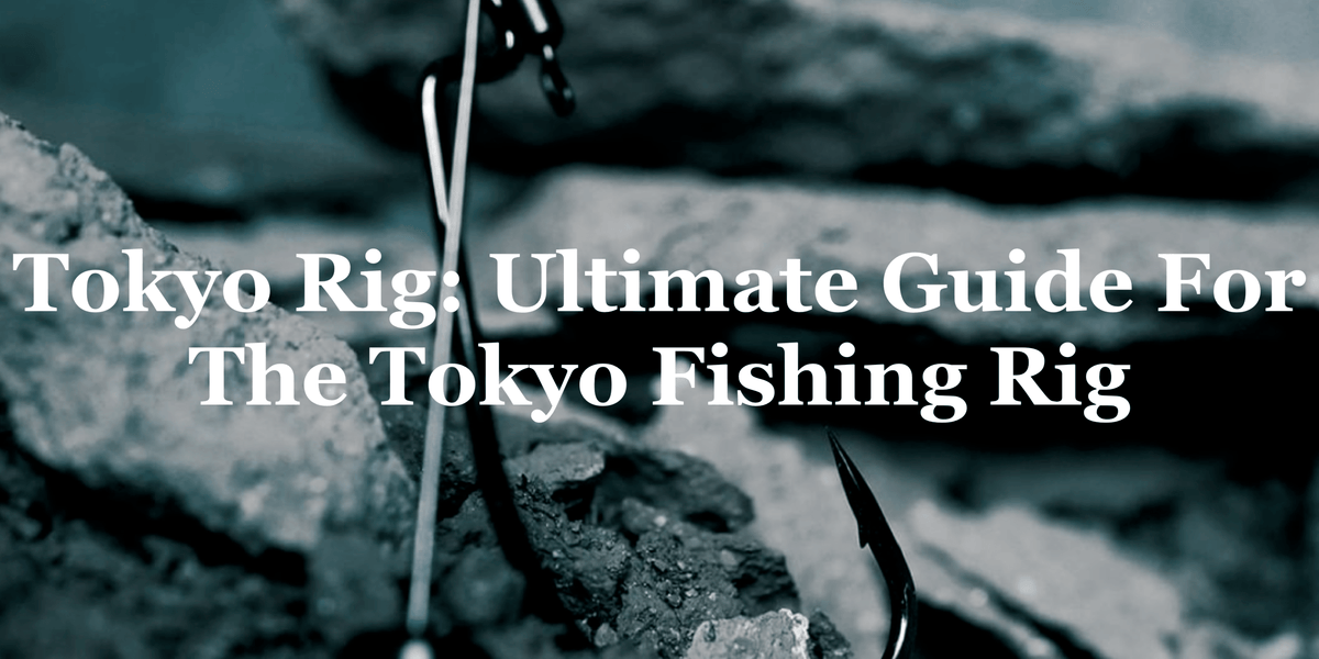 The Tokyo Rig, Part 1 – Ike's Fishing Blog