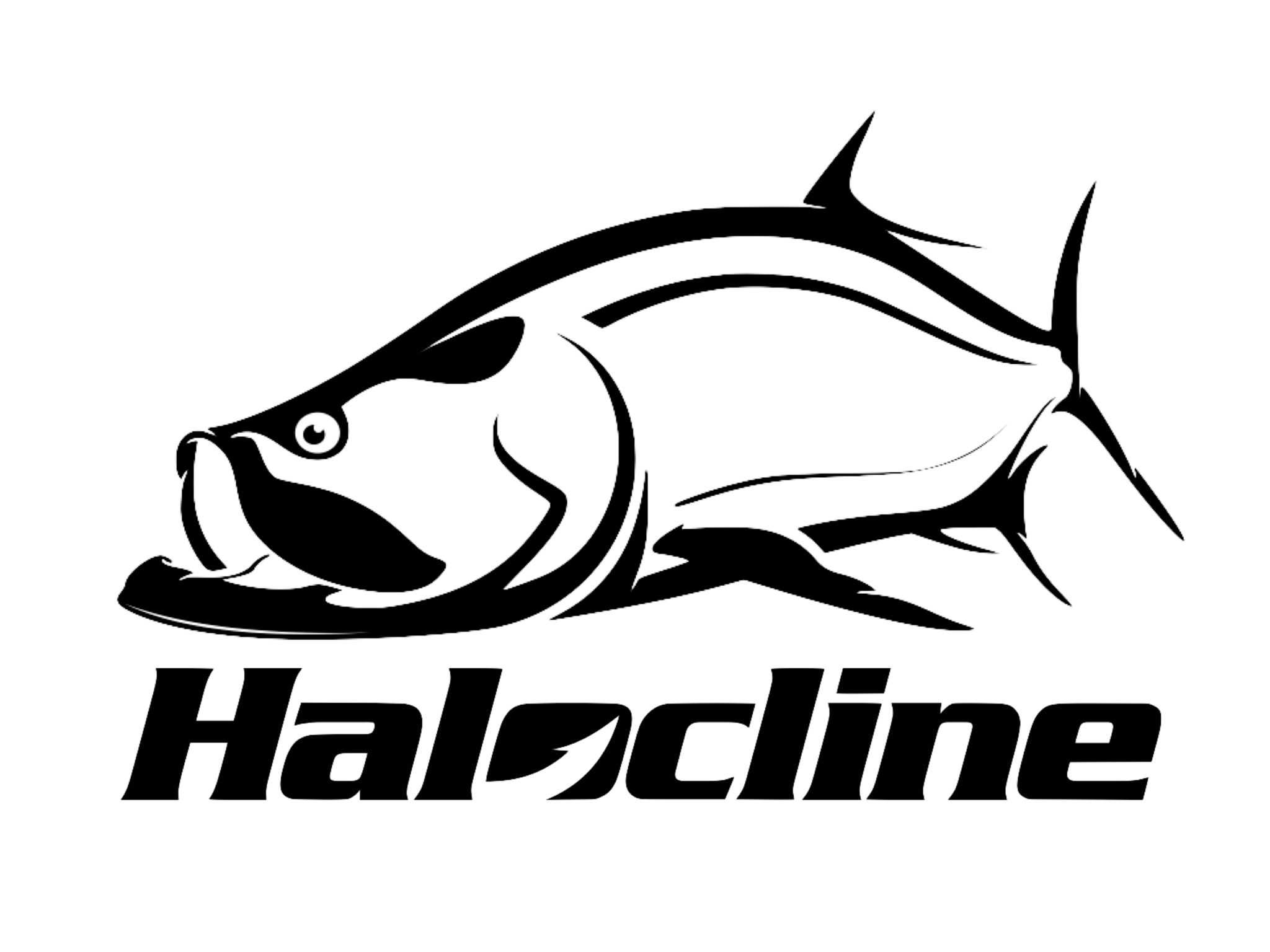 Halocline Tarpon Decal– Hunting and Fishing Depot